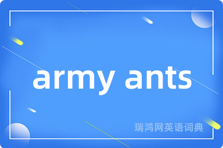 army ants